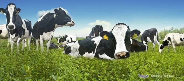  歐亞傳媒全面服務中國快消品品牌(圖1)